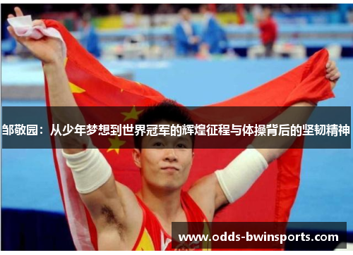 邹敬园：从少年梦想到世界冠军的辉煌征程与体操背后的坚韧精神