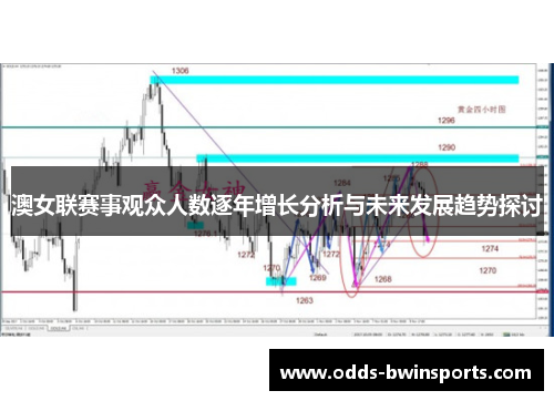 澳女联赛事观众人数逐年增长分析与未来发展趋势探讨