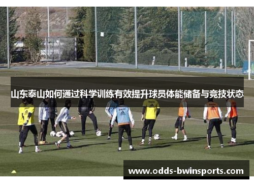 山东泰山如何通过科学训练有效提升球员体能储备与竞技状态