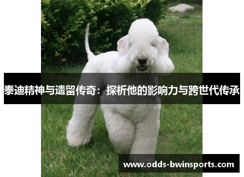 泰迪精神与遗留传奇：探析他的影响力与跨世代传承