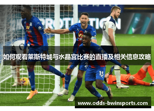 如何观看莱斯特城与水晶宫比赛的直播及相关信息攻略