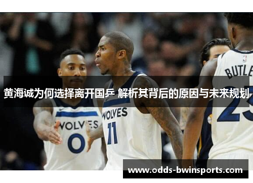 黄海诚为何选择离开国乒 解析其背后的原因与未来规划